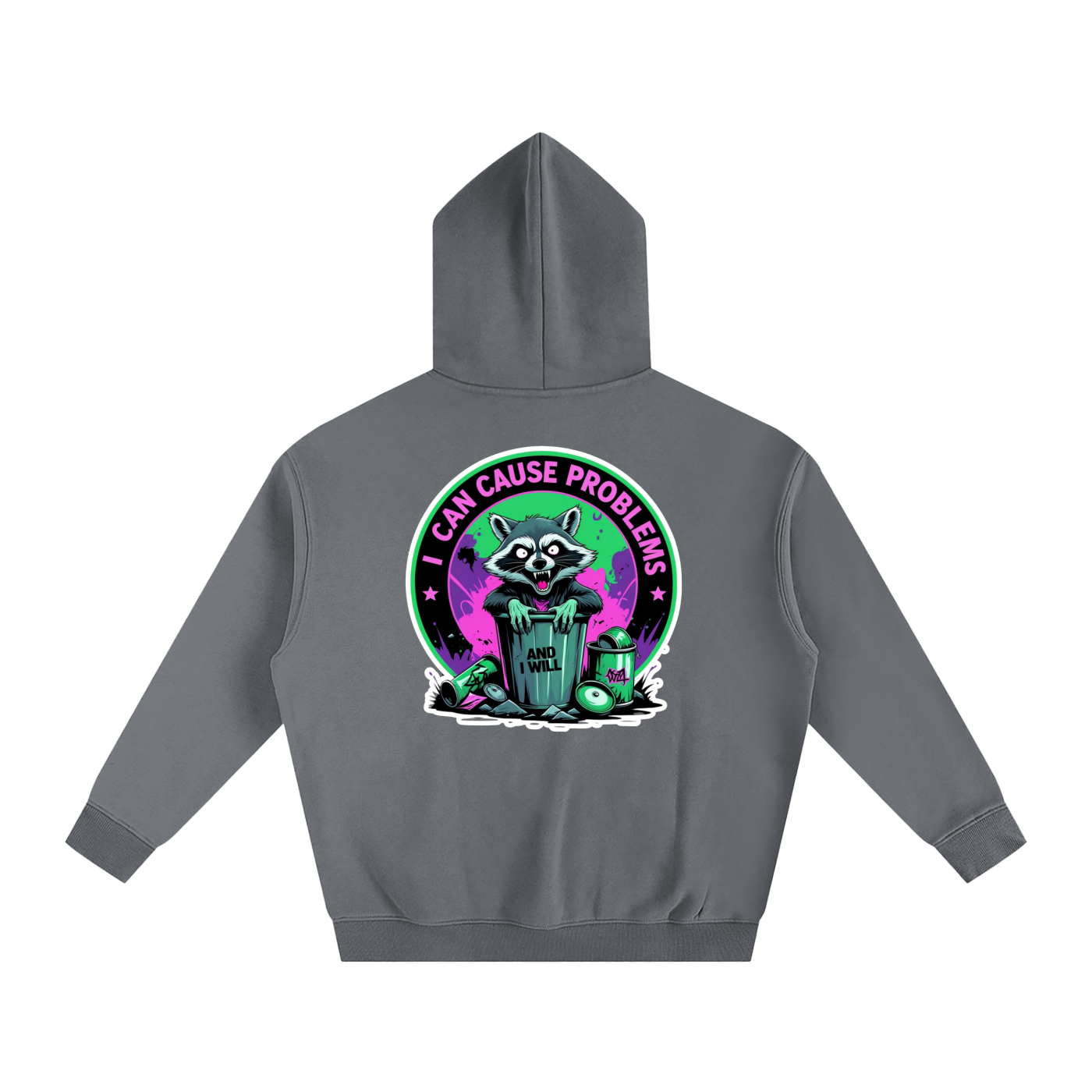 Raccoon Problems Premium Hoodie